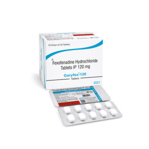 Garyfex-120 Tablet